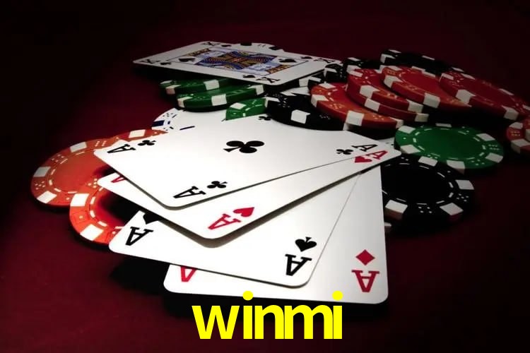PIX Instantâneo winmi